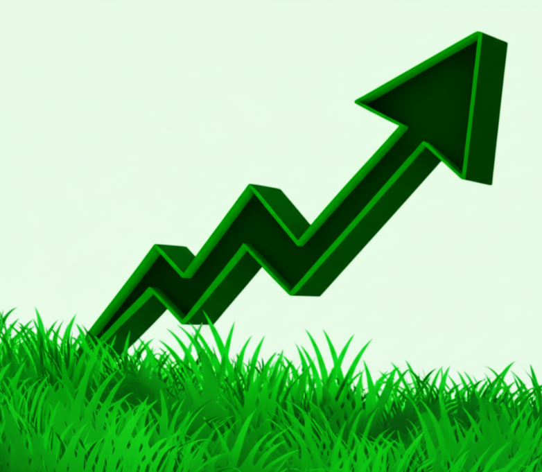 5 investimentos de baixo risco para iniciantes