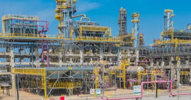 É preciso reduzir o monopólio da Petrobras e aumentar a oferta de gás natural