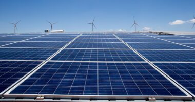 Entenda o leilão de baterias, disputa que o governo pretende realizar no País pela primeira vez