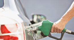 Imposto Seletivo é uma questão de segurança