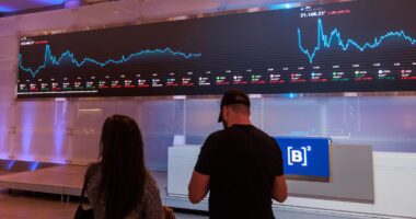 Investidor estrangeiro de longo prazo ainda não entrou na B3, diz Bradesco