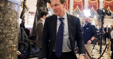 Netflix desiste da oferta pela Warner e deixa caminho aberto para Ellison, novo magnata de Hollywood