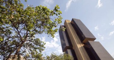 O BC e o escorpião: por que o PT se empenha tanto em pôr a perder o sucesso da política monetária