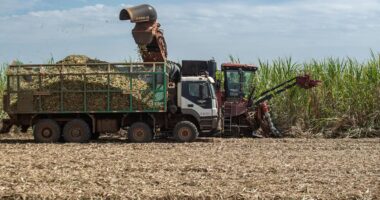 Perspectiva de capitalização da Raízen melhora clima com credores
