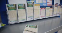 Por que a IA consegue prever novos casos de câncer, mas não os números da Mega-Sena?