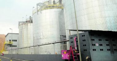 Raízen registra prejuízo de R$ 15,6 bilhões no 3º trimestre