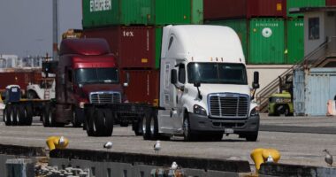 Tarifas derrubadas: Quais são as outras opções de Trump após derrota na Suprema Corte?