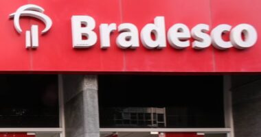 Bradesco passa ser acionista direto da Odontoprev com 53,67% do capital social, total e votante