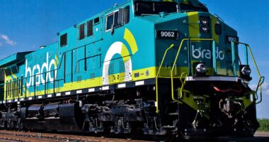 Brado Logística aposta no DDG para expandir operações