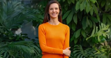 Cacau agroflorestal do Brasil teria patamar do café no exterior com investimento, diz CEO da Dengo