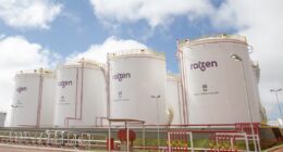 Cosan e Shell apresentam divergências na reestruturação da Raízen