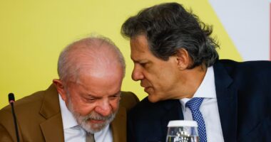 De saída da Fazenda, Haddad volta a criticar taxa de juros, mas evita culpar integrantes do BC
