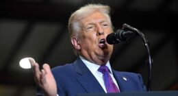 Estados Unidos abrem nova investigação comercial contra o Brasil