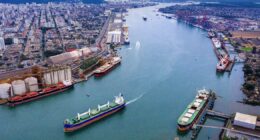 Grupo Arauco: terminal portuário de R$ 2 bilhões em Santos para exportação de celulose