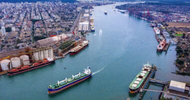 Grupo Arauco: terminal portuário de R$ 2 bilhões em Santos para exportação de celulose