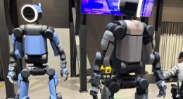 Humanoides ou distópicos: qual será a anatomia dos robôs inteligentes?