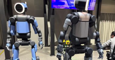 Humanoides ou distópicos: qual será a anatomia dos robôs inteligentes?