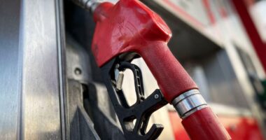 Impactos do combustível ilegal