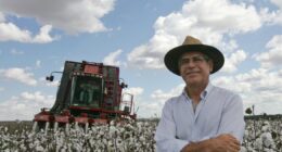 Justiça reconhece fraude em recuperação judicial bilionária do agro em MT e manda polícia investigar