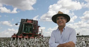 Justiça reconhece fraude em recuperação judicial bilionária do agro em MT e manda polícia investigar