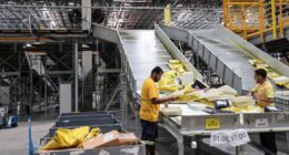 Mercado Livre começa a vender medicamentos no Brasil em projeto-piloto em São Paulo