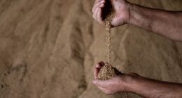 O agro, que sustentou o crescimento do País nos últimos anos, enfrenta mais desafios em 2026