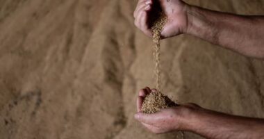 O agro, que sustentou o crescimento do País nos últimos anos, enfrenta mais desafios em 2026