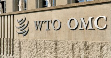 OMC em crise: o que está em discussão na reforma da organização?