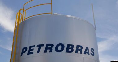 Petrobras alega bloqueio de navio para suspender leilões de diesel e gasolina