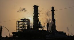 Petróleo pode normalizar em março, mas há risco de impacto nos preços, diz diretor da Eurasia