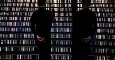 Por que diferentes IAs podem gerar respostas variadas para uma mesma pergunta?