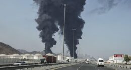 Por que o próspero agronegócio brasileiro vive uma escalada de recuperações judiciais?