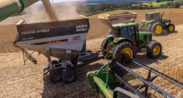 Produtores de soja no PR enfrentam barreira da China e têm carga devolvida por causa de praga