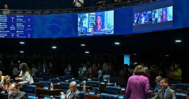 Senado aprova projeto que amplia licença-paternidade para 20 dias; vai à sanção