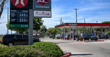 The Economist: Mesmo como potência petrolífera, choque de energia ainda atinge os Estados Unidos