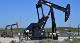 Trabalho remoto e rodovias mais lentas: veja sugestões da AIE para reduzir o consumo de petróleo