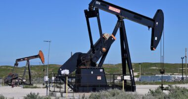 Trabalho remoto e rodovias mais lentas: veja sugestões da AIE para reduzir o consumo de petróleo