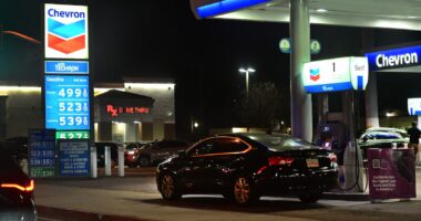 Choque à vista: disrupção da oferta de energia e risco de crise agrícola global ameaçam o mundo