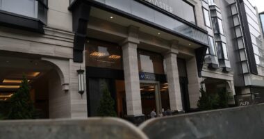 Congresso enterra CPIs, mas pelo menos 15 investigações ainda apuram o caso Master; veja quais