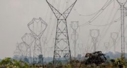 Dia da marmota: setor elétrico está preso no mesmo lugar anos a fio