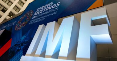 Dívida pública do Brasil deve atingir 100% do PIB no 1º ano do próximo governo, prevê FMI