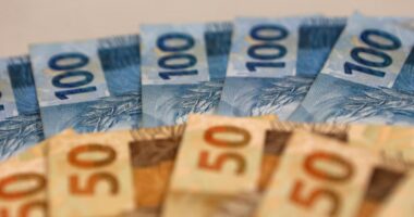 Empresas associam investimento social mais a ganho reputacional do que financeiro, diz estudo