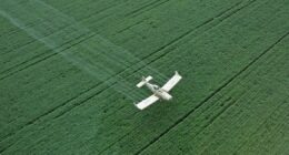 Faturamento da Sell Agro deve crescer 15%, a R$ 90 milhões