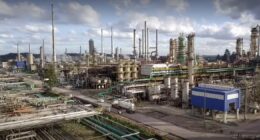 Fertilizantes: Petrobras começa a produzir ureia na Araucária Nitrogenados, desativada há seis anos