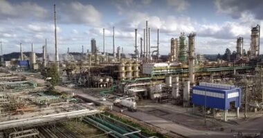 Fertilizantes: Petrobras começa a produzir ureia na Araucária Nitrogenados, desativada há seis anos