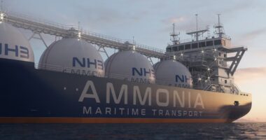 Geopolítica e fertilizantes: Estreito de Ormuz pode afetar a safra e o preço dos alimentos