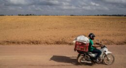 Inquérito policial apura supostos crimes na recuperação judicial do Grupo Portal Agro