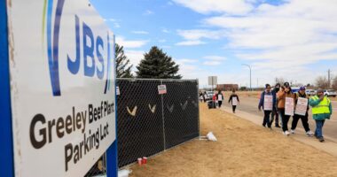JBS fecha acordo com trabalhadores e encerra greve em fábrica de carne bovina nos EUA