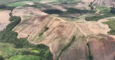 Minerais críticos: o Brasil não precisa escolher entre soberania e integração