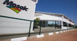 Mosaic reestrutura ativos no País para manter eficiência